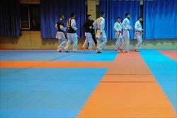 کاراته کاهای ایران راهی فرانفکورت می شود