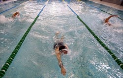 آغاز دور جدید اردوی تیم ملی شنا با اضافه شدن ۳ شناگر 