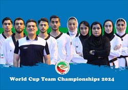 نقره تکواندوی ایران در بخش ترکیبی جام جهانی